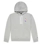 Худі чоловіче Nike N31 M Po Flc Essntl Grey CZ4370-063