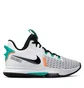 Кроссовки унисекс Nike Lebron Witness V White Cq9380-100