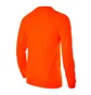 Свитшот мужской Nike Park Goalie Ii Jsy Orange 588418-803