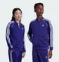 Олимпийка детская Adidas Adicolor Sst Track Top Kids Blue IY7453