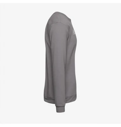 Світшот чоловічий Adidas Entrada 22 Sweat Top Grey H57479