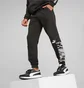 Штаны мужские Puma Essentials Block Camo Black 673339-01