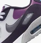 Кросівки унісекс Nike Air Max 90 G Nrg White/Violet Dq4128-155