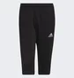 Шорты мужские Adidas Entrada 22 Black Hb0576