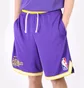 Шорти чоловічі Nike Los Angeles Lakers Violet DB1801-504