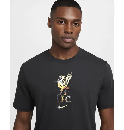 Футболка мужская Nike Lfc Nk Crest Grey HQ0266-070