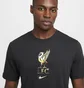 Футболка мужская Nike Lfc Nk Crest Grey HQ0266-070