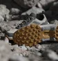 Кроссовки мужские Adidas Terrex Eastrail 2 R.Rdy Beige/Grey IH1164