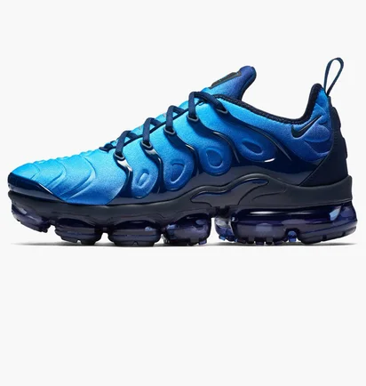 Кроссовки мужские Nike Air Vapormax Plus Blue 924453-401