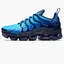 Кроссовки мужские Nike Air Vapormax Plus Blue 924453-401
