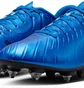 Бутсы унисекс Nike Legend 10 Academy Sg-Pro Ac Blue DV4338-400