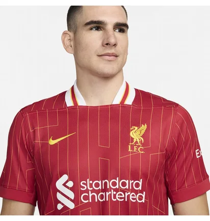 Футболка мужская Nike Fc Liverpool 2024/25 Stadium Home Dri-Fit Replika Red FN8798-688