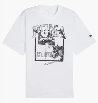 Футболка мужская Puma Rival Rage Tee White 685454-02