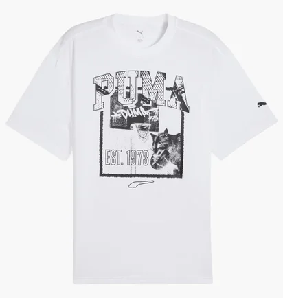 Футболка мужская Puma Rival Rage Tee White 685454-02