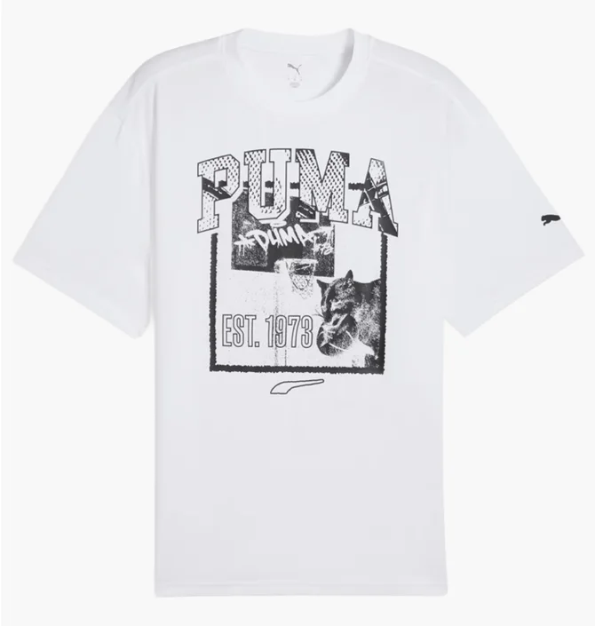 Футболка мужская Puma Rival Rage Tee White 685454-02