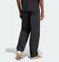 Штани чоловічі Adidas Trefoil Essentials Chinos Black JD2442