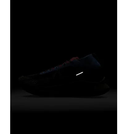 Кроссовки мужские Nike Pegasus Trail 4 Gore-Tex Waterproof Trail Running Shoes Black DJ7926-003