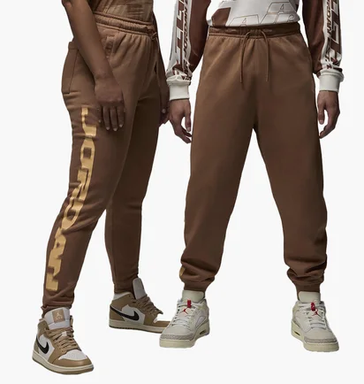 Штаны мужские Air Jordan M Mvp Hbr Flc Brown FV7229-223
