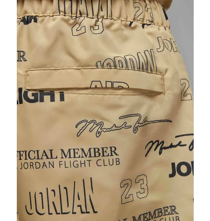 Шорты мужские Air Jordan Flight Mvp Beige DX9726-252