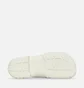 Тапочки чоловічі BIRKENSTOCK A 630 White 10292