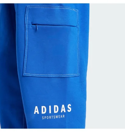 Штани чоловічі Adidas All Szn Fleece Graphic Loose Sportswear Blue JJ3663