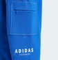 Штани чоловічі Adidas All Szn Fleece Graphic Loose Sportswear Blue JJ3663