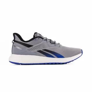 Кроссовки мужские Reebok Forever Floatride E Grey EH3253