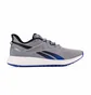 Кросівки чоловічі Reebok Forever Floatride E Grey EH3253