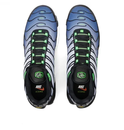 Кроссовки мужские Nike Air Max Plus Blue/Black DX4326-001
