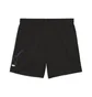 Шорты мужские Puma Ess Logo Lab Black 692033-01