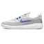 Кросівки унісекс Nike Skate Shoes Grey Bv2078-008