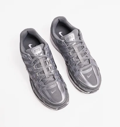 Кросівки чоловічі Nike P-6000 Metallic CD6404-023