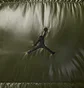 Жилетка чоловіча Air Jordan Flight Down Vest Olive FV7273-222