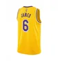 Майка чоловіча Nike Nba Icon Edition Swingman Jersey Los Angeles Lakers Lebron James Yellow CW3669-738