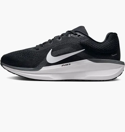 Кроссовки женские Nike Air Winflo 11 Black FJ9510-001