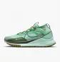 Кроссовки мужские Nike Pegasus Trail 4 Gore-Tex Turquoise DJ7926-301