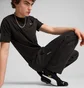 Штаны мужские Puma Pumatech Black 629682-01