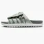Тапочки чоловічі Nike Asuna 2 Slide Grey DX6865-001