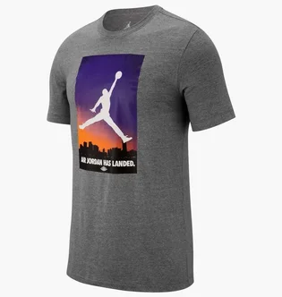 Футболка мужская Nike Air Jordan 23 T-Shirt Grey Ao0692-091