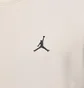 Свитшот мужской Air jordan Brooklyn Fleece Fz Crew Beige FV7293-133