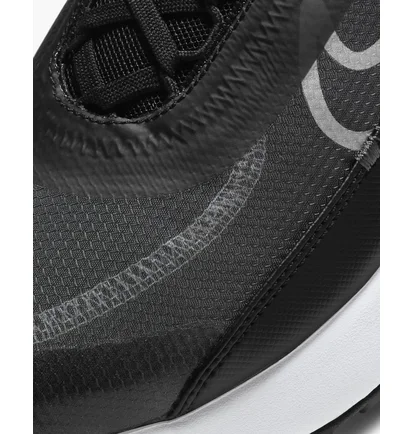 Кросівки чоловічі Nike Air Max 2090 Black CW7306-001