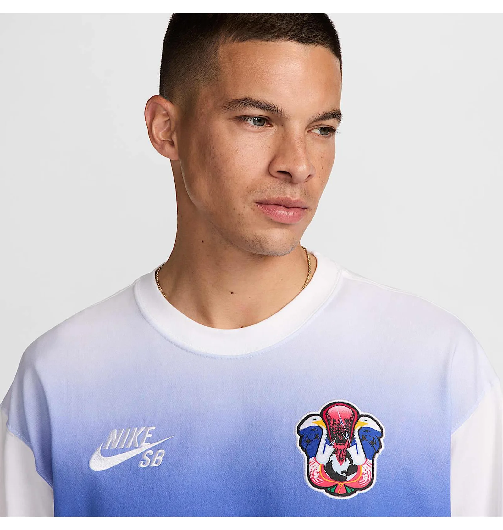 ᐉ Лонгслив мужской Nike Sb Team Usa Olympics L/S Federation Skate