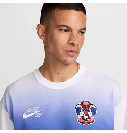 Лонгслив мужской Nike Sb Team Usa Olympics L/S Federation Skate Tee White/Multi HF4376-100