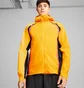 Ветровка мужская Puma Run Rain Jacket Orange 525799-38