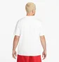 Футболка мужская Nike Acg Fruit & Veggies White DQ4954-121
