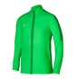 Олимпийка мужская Nike Academy Woven Green DR1710-329