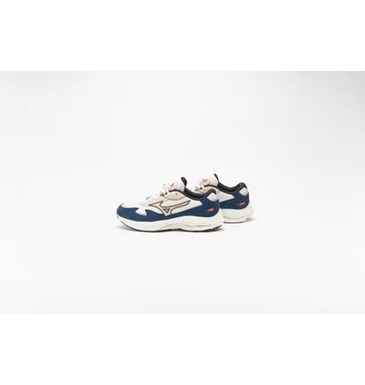Кроссовки мужские Mizuno Wave Rider Beta Beige/Blue D1GA330904