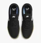 Кросівки унісекс Nike Sb Chron 2 Black DM3493-002