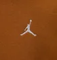 Толстовка мужская Air Jordan Brkln Flc Fz Brown FV7289-228