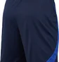 Шорты мужские Nike Shorts Dri-Fit Strike Blue DH8776-451